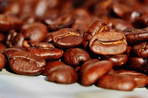 Arabica Coffee - Image 2